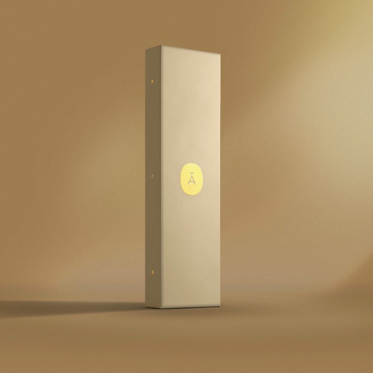 Aark Collective Watch Era Gold - Make Designed Objects